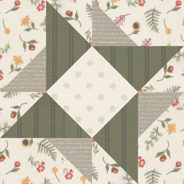 Moda blockheads 4 free block of the week. Bonus Block 5 is "Wheat Field" by Moda Fabrics. Fabric is Flower Pot by Lella Boutique for Moda Fabrics.