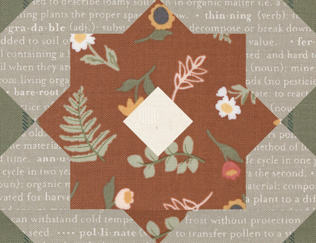 Moda Blockheads 4 free block of the week. Block 28 is "Blossom" by Joanna Figueroa of Fig Tree Quilts. Fabric is Flower Pot by Lella Boutique for Moda Fabrics.