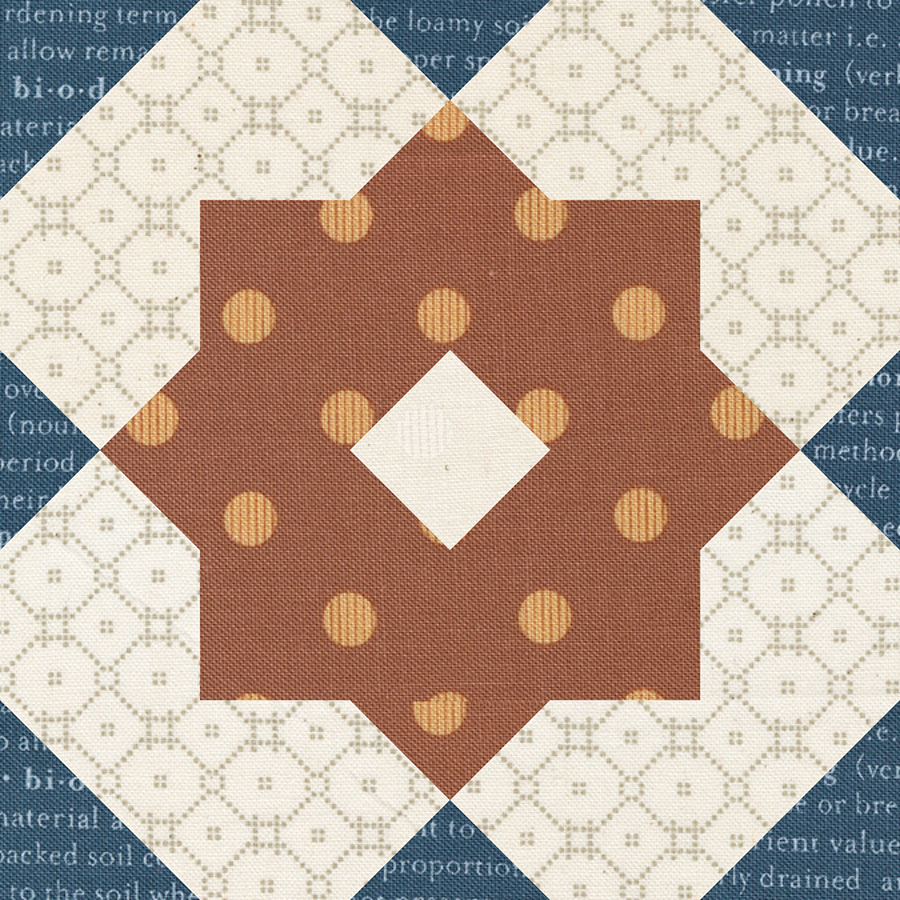 Moda Blockheads 4 free block of the week. Block 28 is "Blossom" by Joanna Figueroa of Fig Tree Quilts. Fabric is Flower Pot by Lella Boutique for Moda Fabrics.