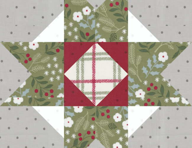 Sewcialites 2 Block 23 "Changeling Star" by Andy Knowlton of A Bright Corner. Fabric is Christmas Eve by Lella Boutique for Moda Fabrics. Download the free block pattern here.